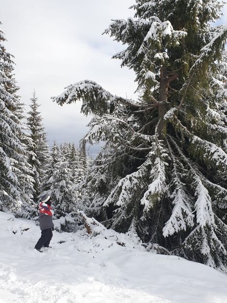 9a6471e9-dc95-4ee6-a1e5-e246573b1d9a - 2020 BUSCAT BAIȘOARA 27 dec