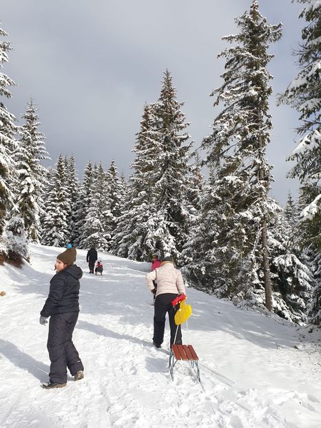 9c85d051-2a2a-46fe-9e4b-080990a27759 - 2020 BUSCAT BAIȘOARA 27 dec