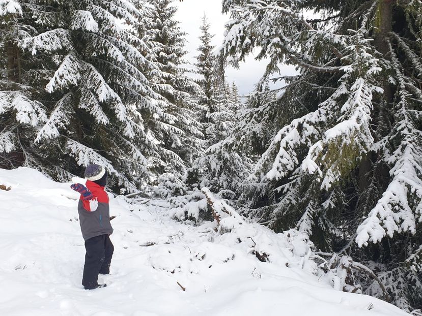 23b3910a-f98e-401a-8b3a-7e0f5d593fce - 2020 BUSCAT BAIȘOARA 27 dec