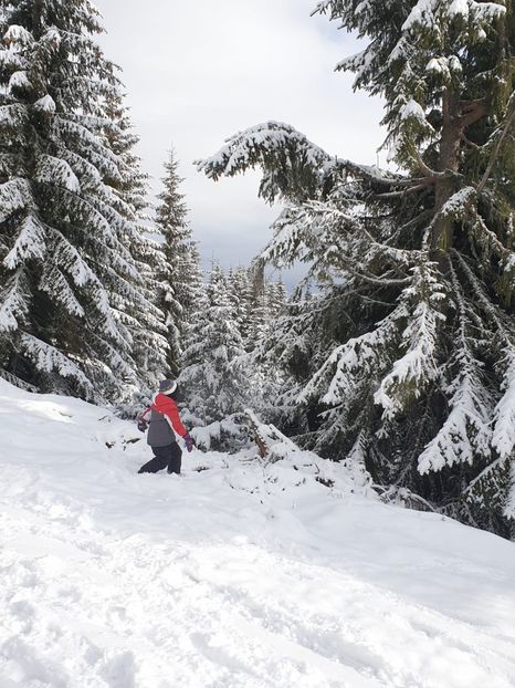 050f802c-97ea-430f-9aa8-1479bc8746cb - 2020 BUSCAT BAIȘOARA 27 dec