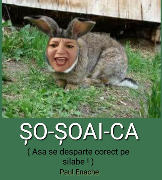 131990291_774028363185107_8543509769919881490_o - Bancuri cu Moldoveni