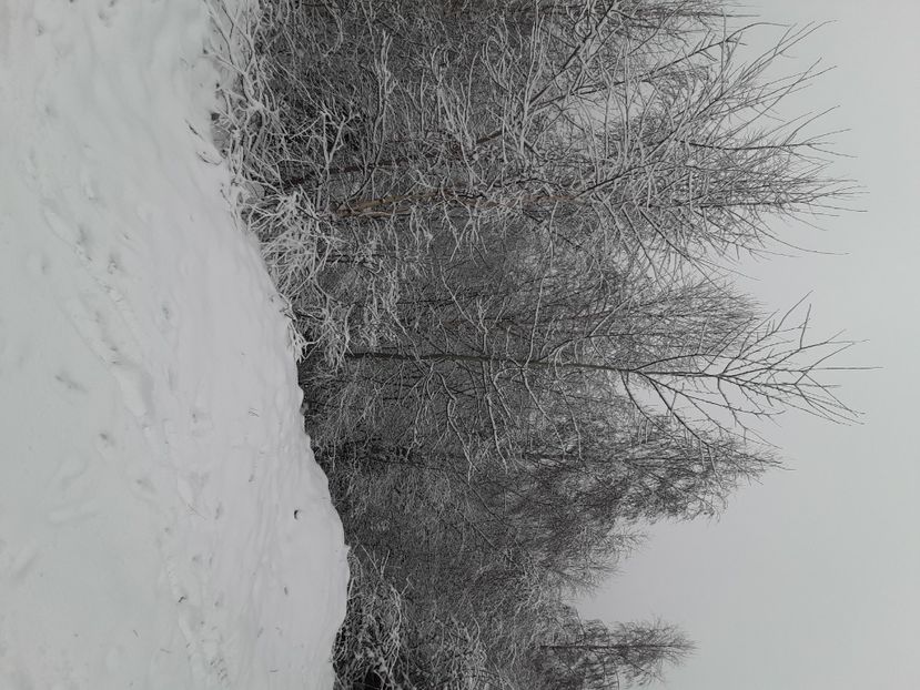  - Ranca decembrie 3020