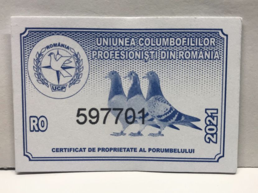 509A914A-FEB2-4518-B22B-F8805E9D6A1F - 00 Inele Porumbei Voiajori Asociatie UCP Profesionisti 2021