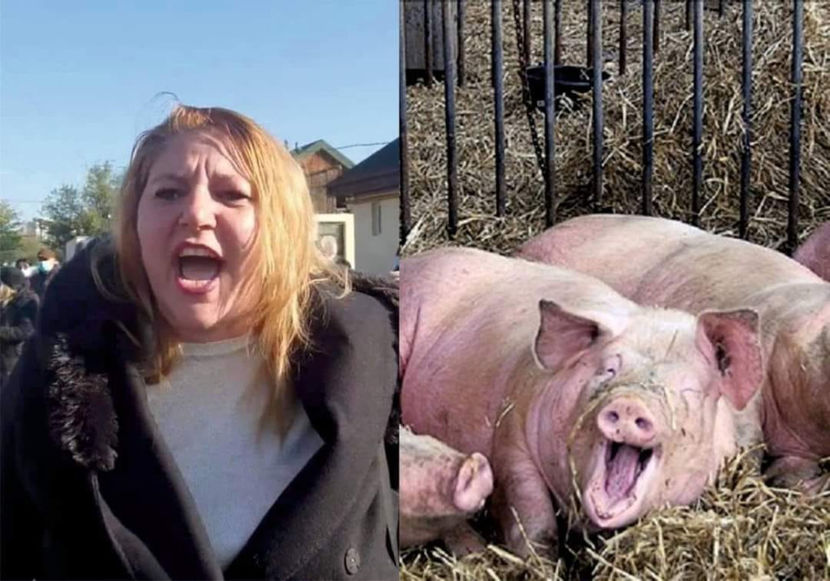 132749296_10159251908414658_443270015971475838_o - Bancuri cu Moldoveni