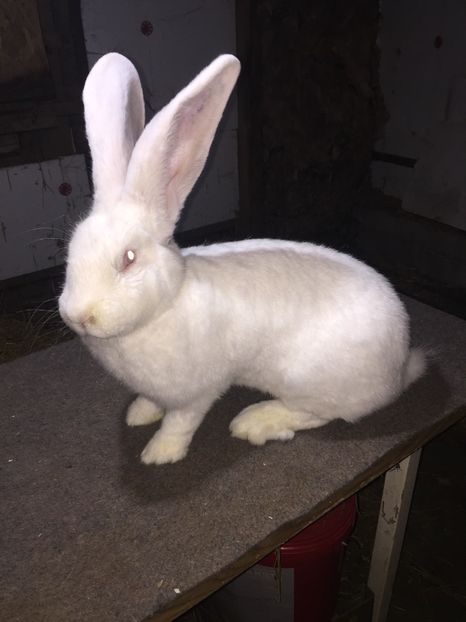 95A56976-9807-46A9-AA20-46AB136CEBDA - RO16-2011