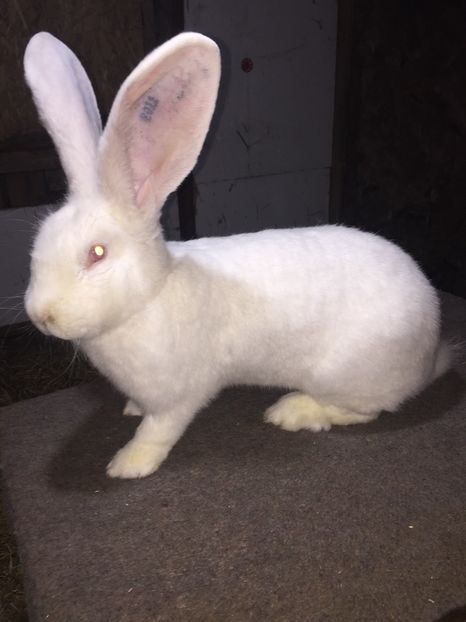 8A6E2D30-9A58-4FC9-9BC9-621C6A520E76 - RO16-2011