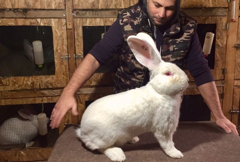 3CBC2748-6FCE-40BE-A1C1-4D2B632141FB - RO 8-4910