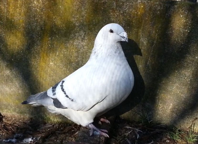 PL20-JRS 26 (M.) Archiwum - g- MLODE-2020 - Youth