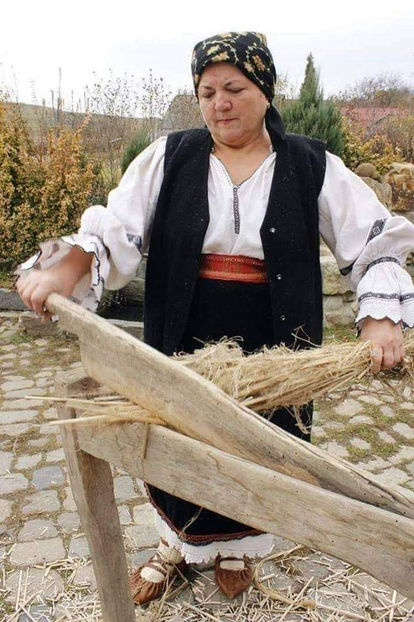  - Simboluri
