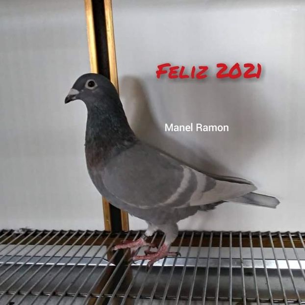  - NU IMI APARTIN ALBUM NR 2