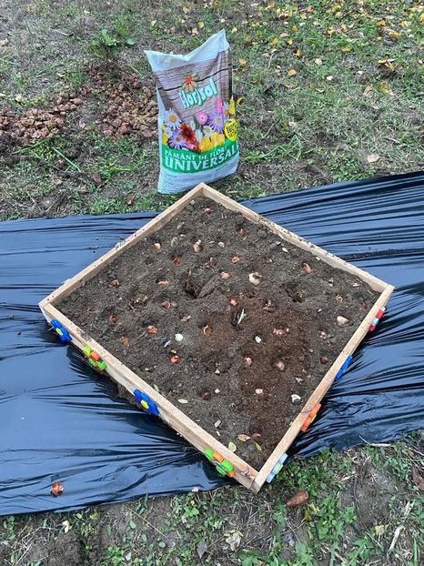 C9C94D9E-6D3A-4BB1-9212-B09BC137EBB9 - Idei puse in practica 2020