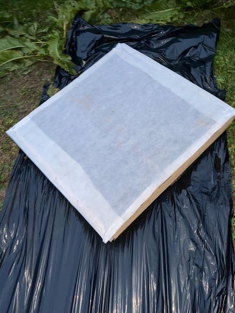 0531DBB9-F585-4A98-BC52-ADE9F995B052 - Idei puse in practica 2020