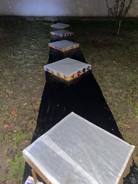 589C3B71-019F-4C76-8039-FC29BA68D5C7 - Idei puse in practica 2020