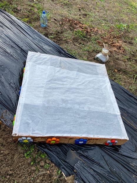 BCFC32A9-AAE2-4E1F-B07C-DD8594D499FD - Idei puse in practica 2020