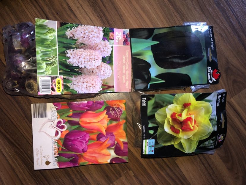 6AD19603-036A-4039-B1DD-CAEA3F56B821 - Achiziții bulbi 2020