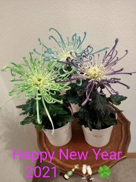  - Z- Căciun fericit și La mulți ani