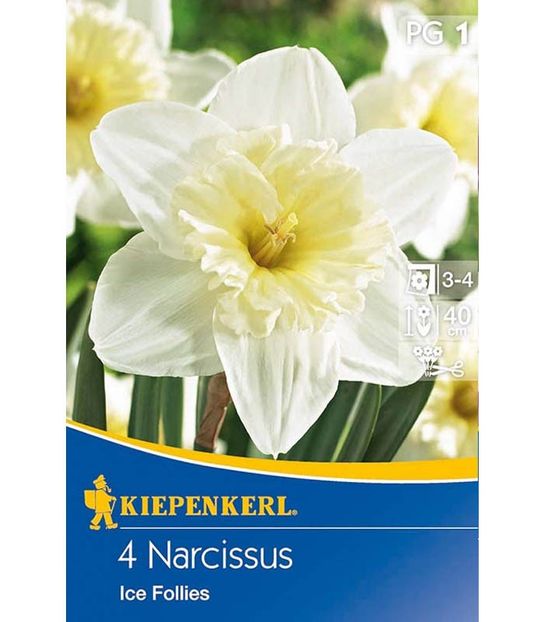 bulbi-narcise-ice-follies - Soiuri de narcise