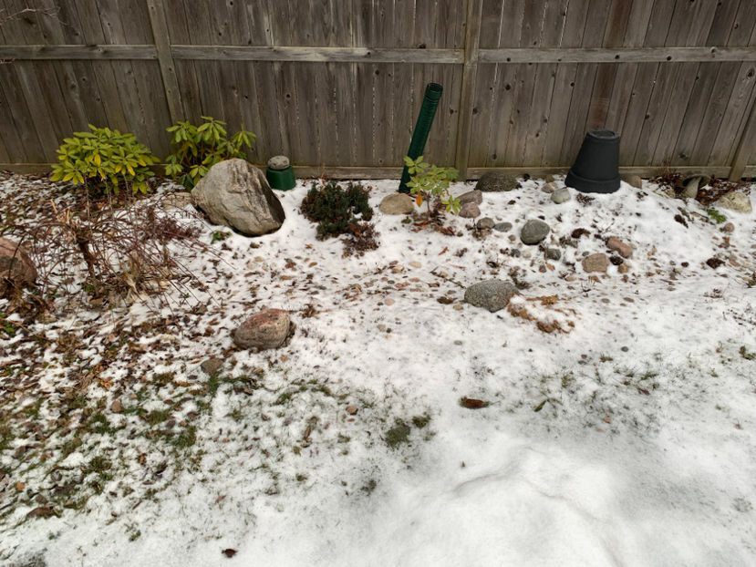  - Jurnalul gradinii 2021