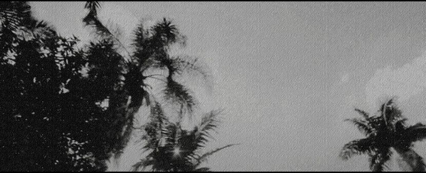 ♪ Long walks on the beach in April, yeah I promise, darling, that I’ll be faithful - Anticipating my face in a red flush