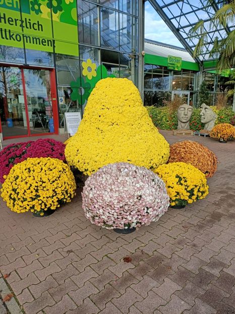 Nov. 2020 - A -Magazin