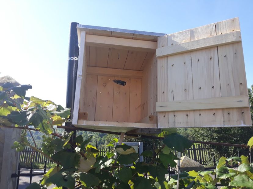 20200826_Oglinzi (3) - DRD 2019_2022