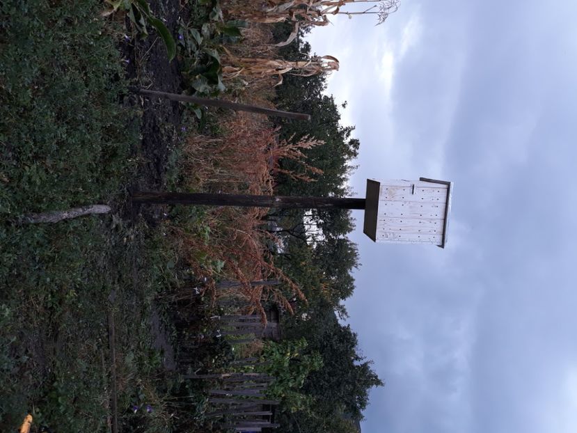 20200929_Piatra Neamt (3) - DRD 2019_2022