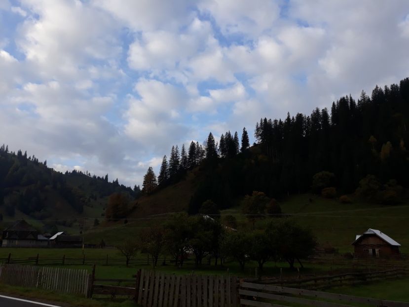 20201009_Vatra Dornei (9) - DRD 2019_2022