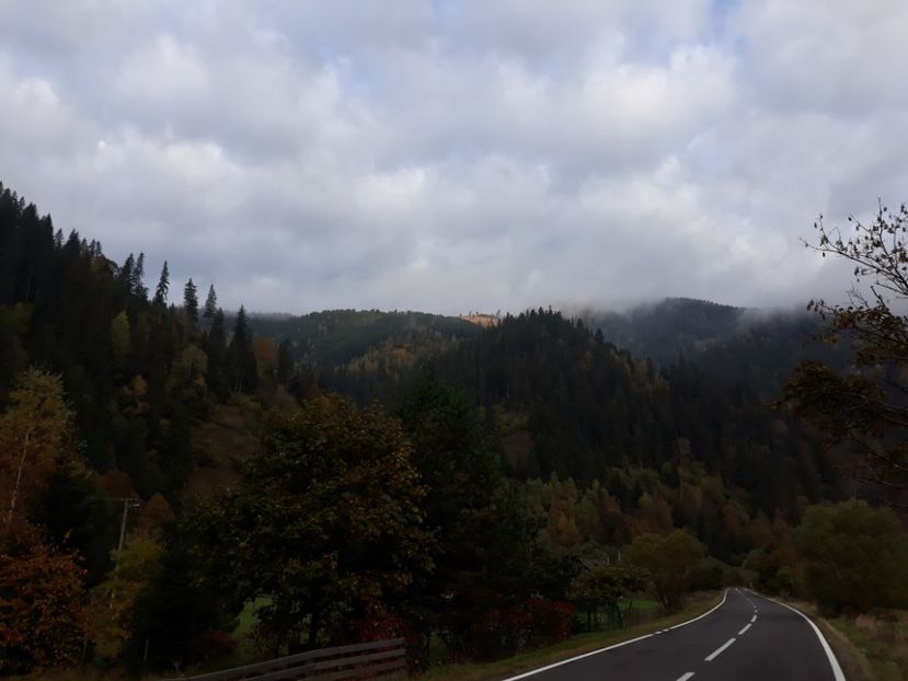 20201009_Vatra Dornei (10) - DRD 2019_2022
