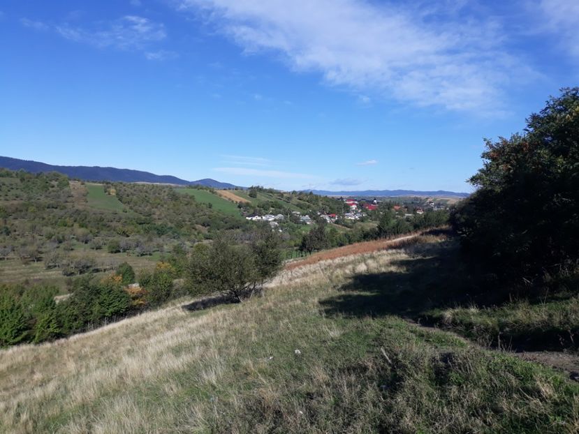 20201014_Baltatesti (1) - DRD 2019_2022