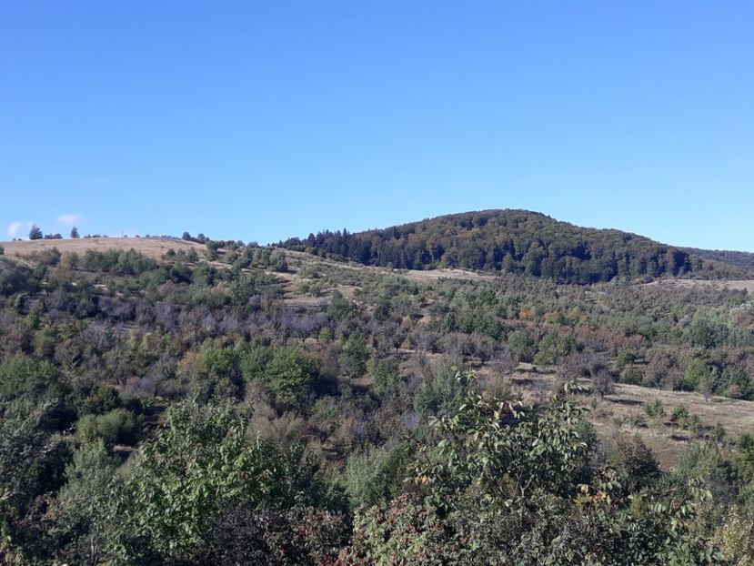 20201014_Baltatesti (4) - DRD 2019_2022