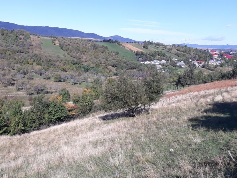 20201014_Baltatesti - DRD 2019_2022