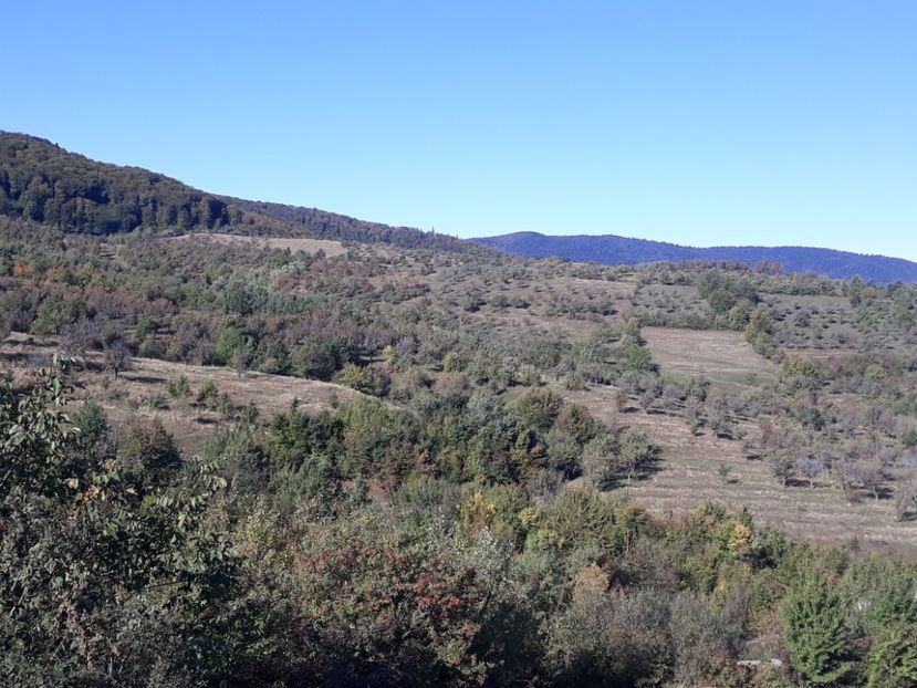 Baltatesti RC 20201014 - DRD 2019_2022