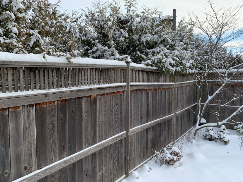  - Jurnalul gradinii 2021