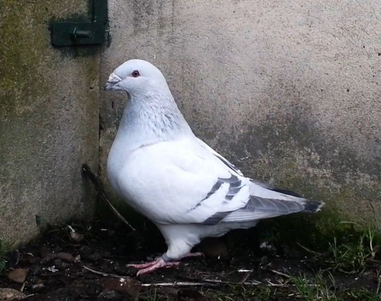 PL20-JRS 18 (M.) Archiwum - g- MLODE-2020 - Youth