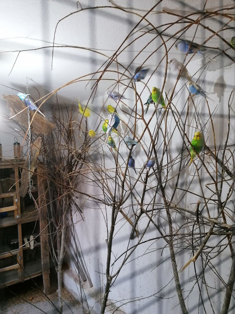  - 1 PERUSI 2021 MATCA