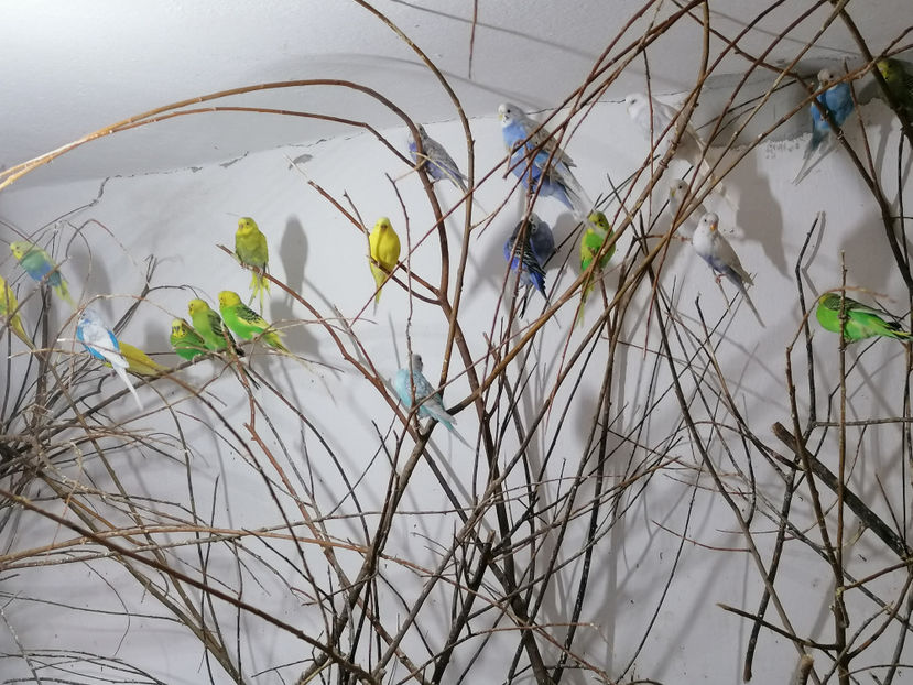  - 1 PERUSI 2021 MATCA