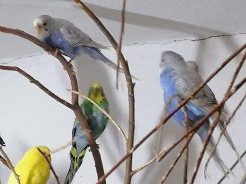  - 1 PERUSI 2021 MATCA