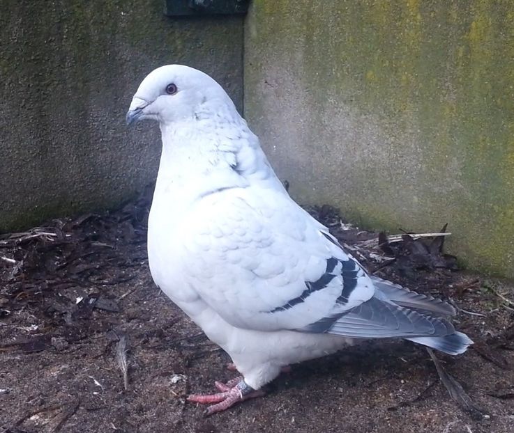 PL20-JRS 27 (F.) Archiwum - g- MLODE-2020 - Youth