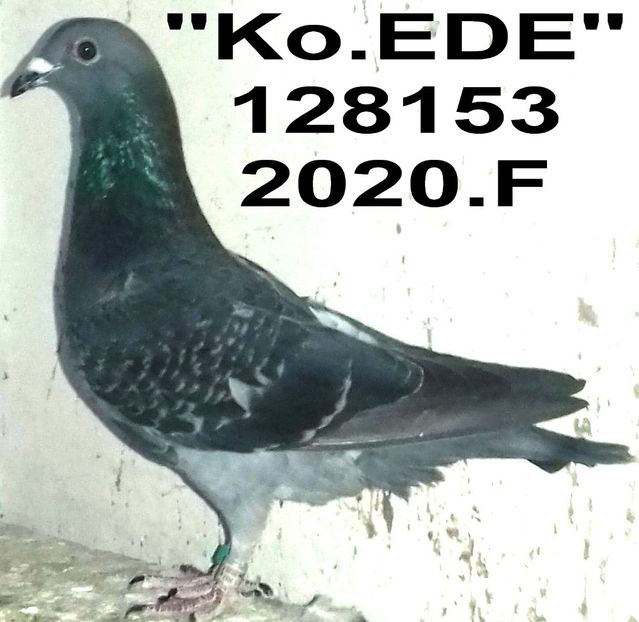 2020.128153  ko.ede - 2 MATCA 2021