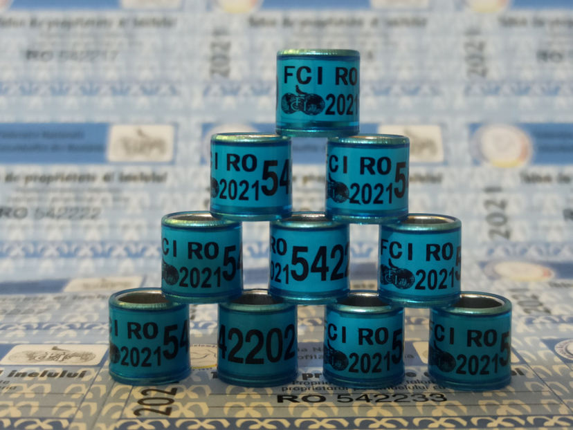 FCI 2021 + talon - 2,5 lei bucata - 9_6 - INELE FCI 2021