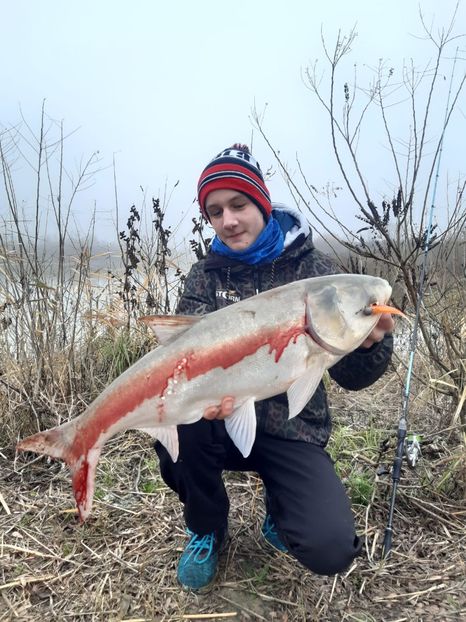 Mures decembrie 2020 - Capturi-pesti