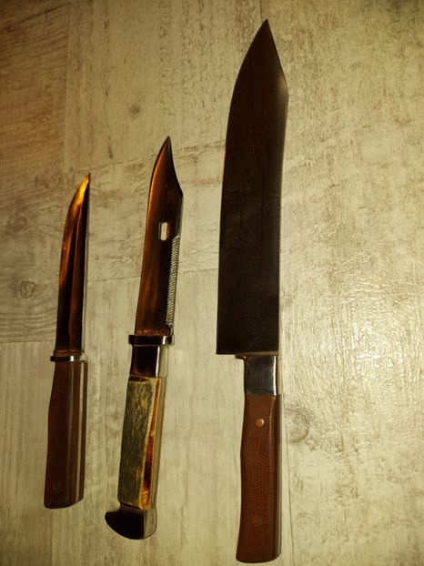  - CUTITE LUCRATE MANUAL 2021