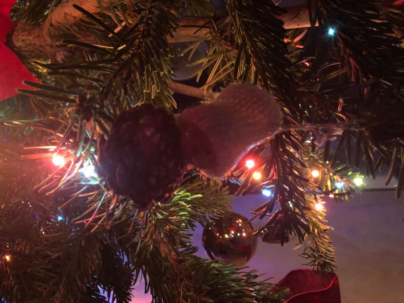 9F851C1B-2204-4B8C-9C7E-A577AB152893 - Ornamente de brad