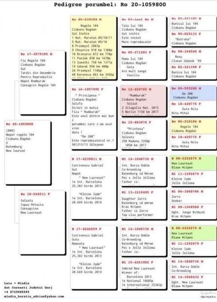 IMG-20201207-WA0006 - 2021-GUT MLADIN-INTARIRE MATCA