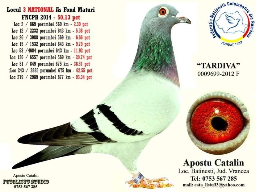  - 2021-VANAT ARTENI-INTARIRE MATCA