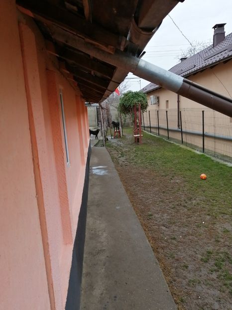  - 2020-PAZNICII PORUMBEILOR