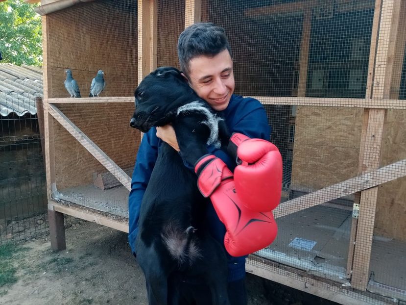 IMG-20210108-WA0019 - 2020-PAZNICII PORUMBEILOR