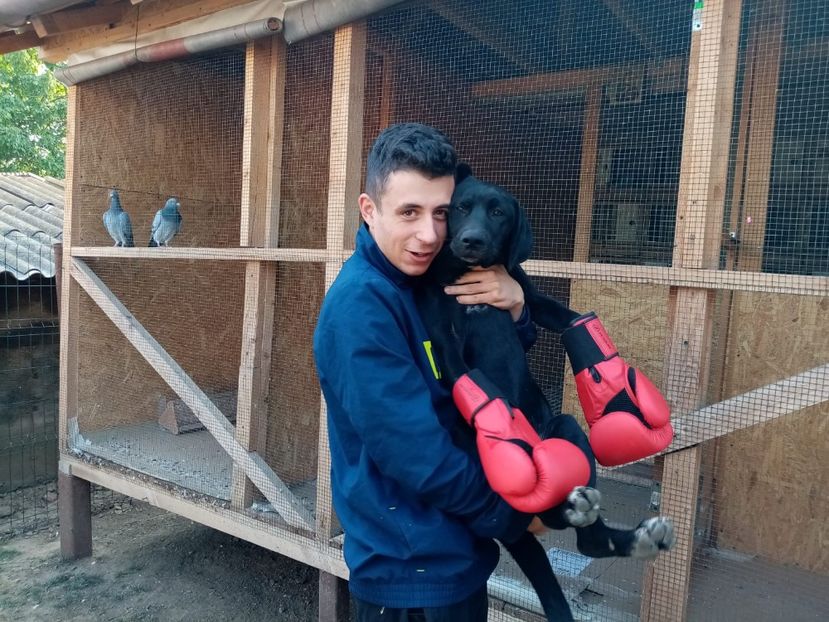 IMG-20210108-WA0032 - 2020-PAZNICII PORUMBEILOR