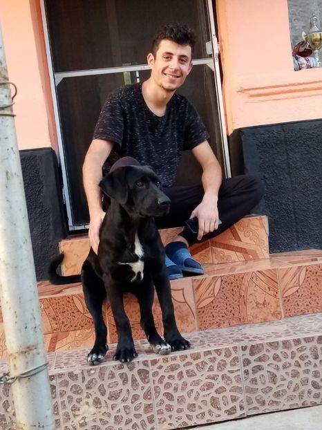 IMG-20210108-WA0040 - 2020-PAZNICII PORUMBEILOR