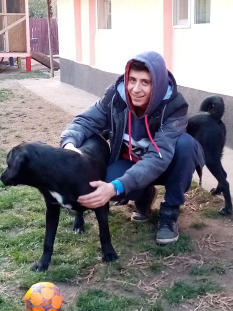 IMG-20210108-WA0044 - 2020-PAZNICII PORUMBEILOR